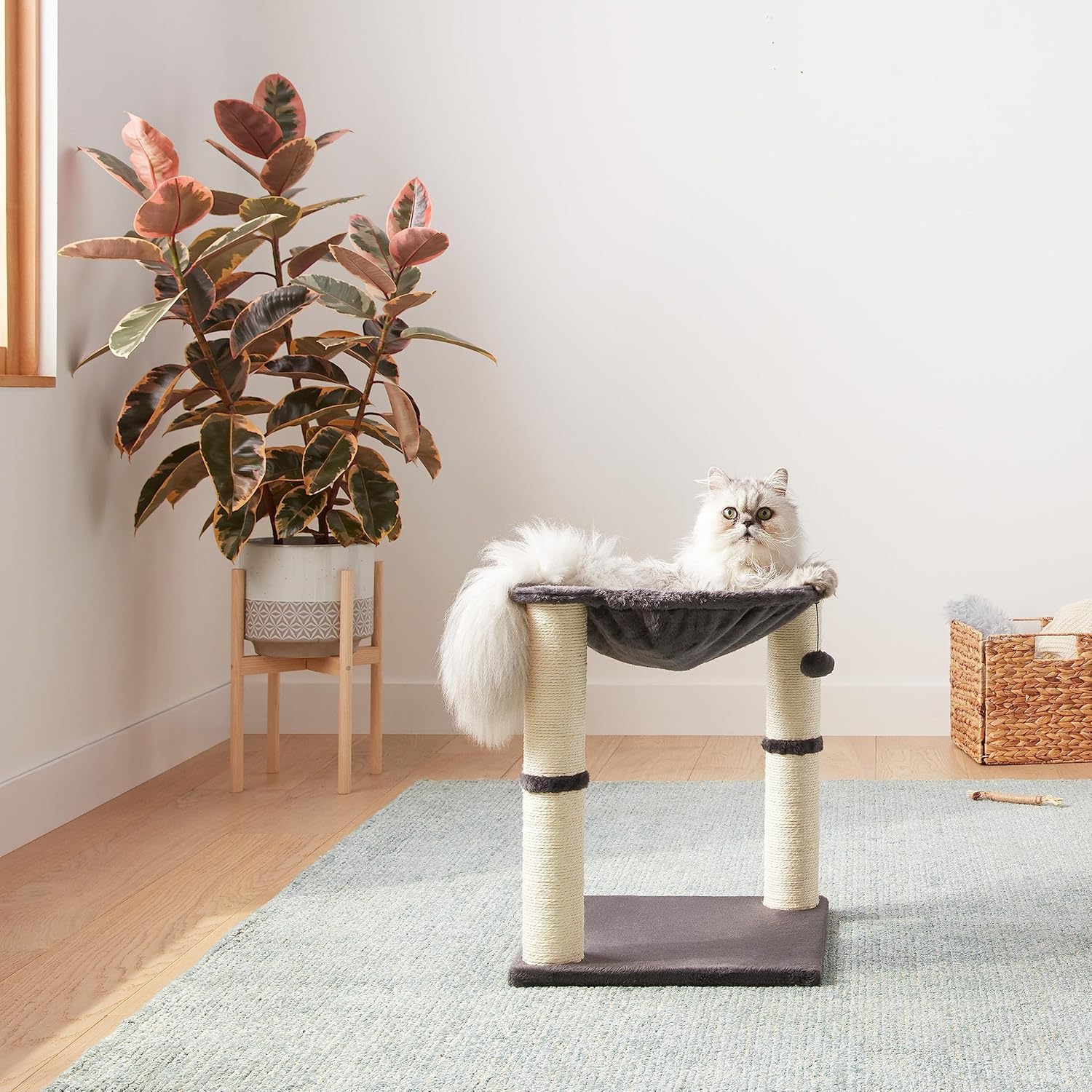 Double iron ring cat climbing frame with ball