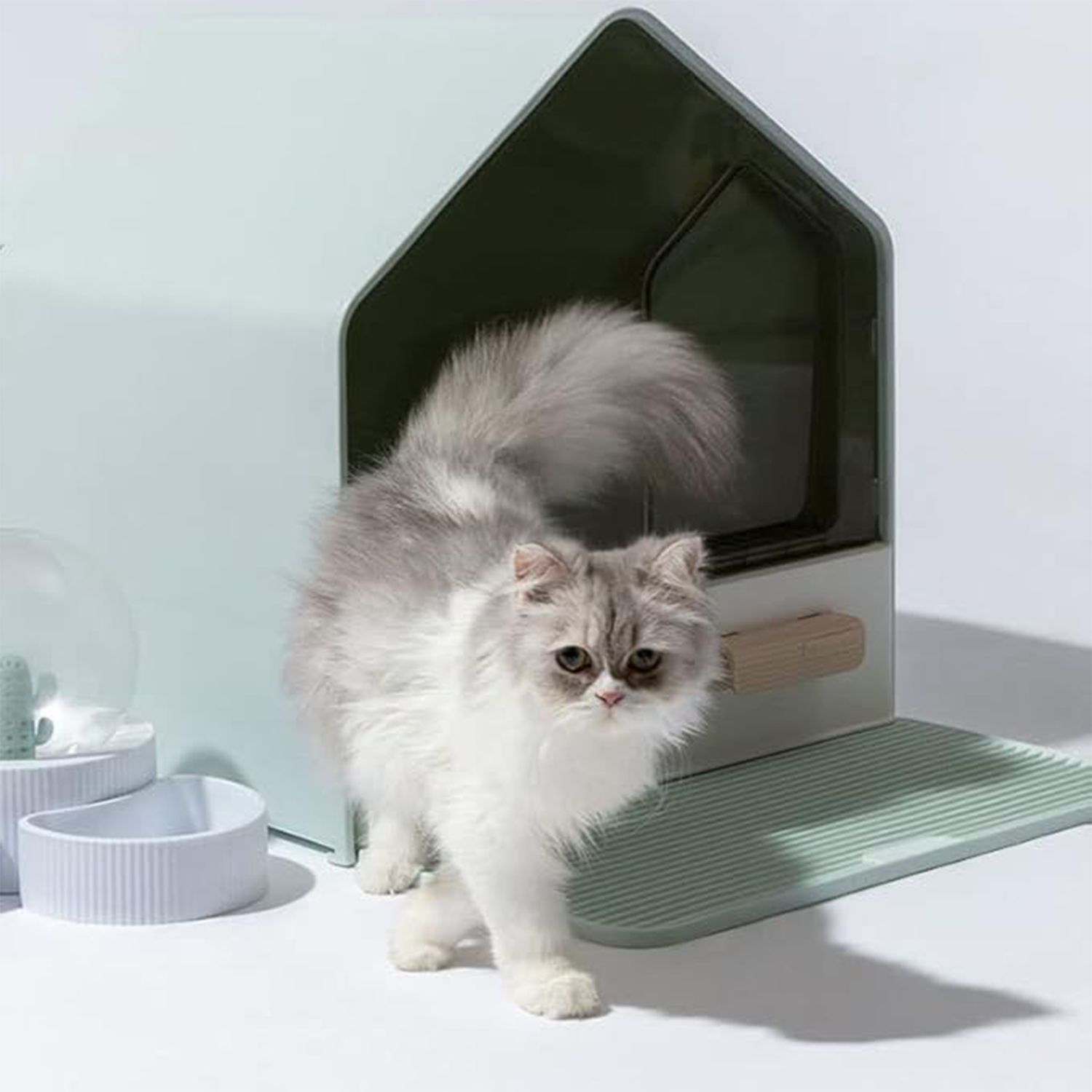 Cat Litter Box Deodorant and Black Pet Litter Box green