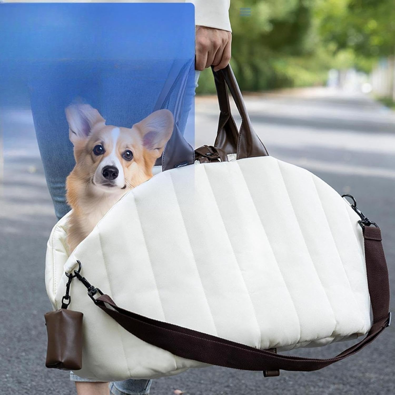 Hot Sale Luxury Cat and Dog Tote Bag Pet Travel Tote Bag