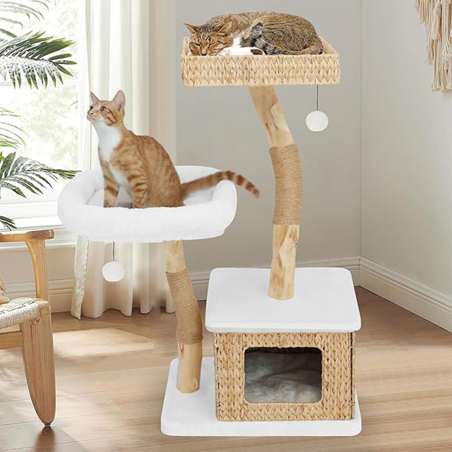 2 Large Perches, Scratching Posts, Hanging Toy for Large Cats 