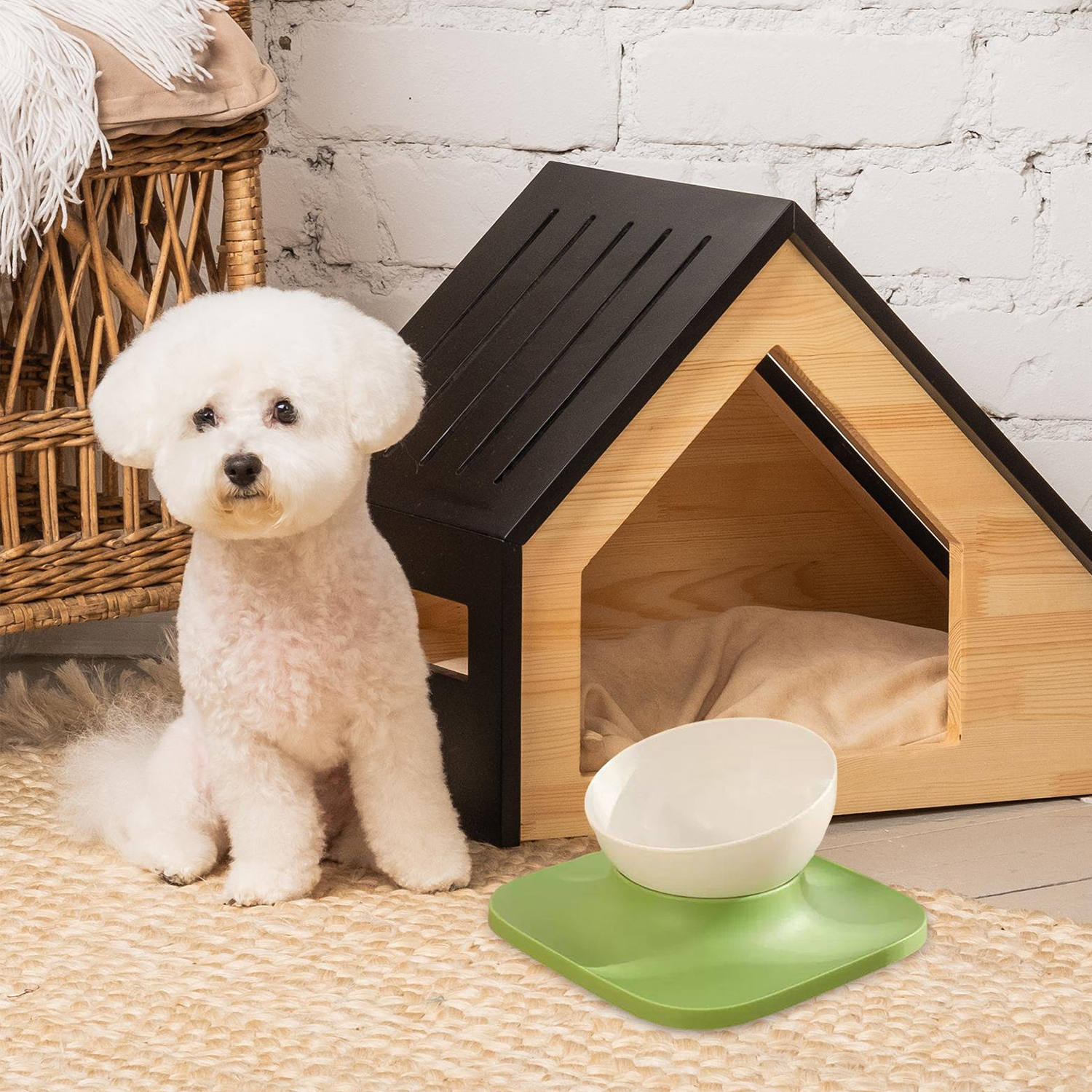 Raised Cat Food Bowl Water Drinking Bowl Pet Feeder