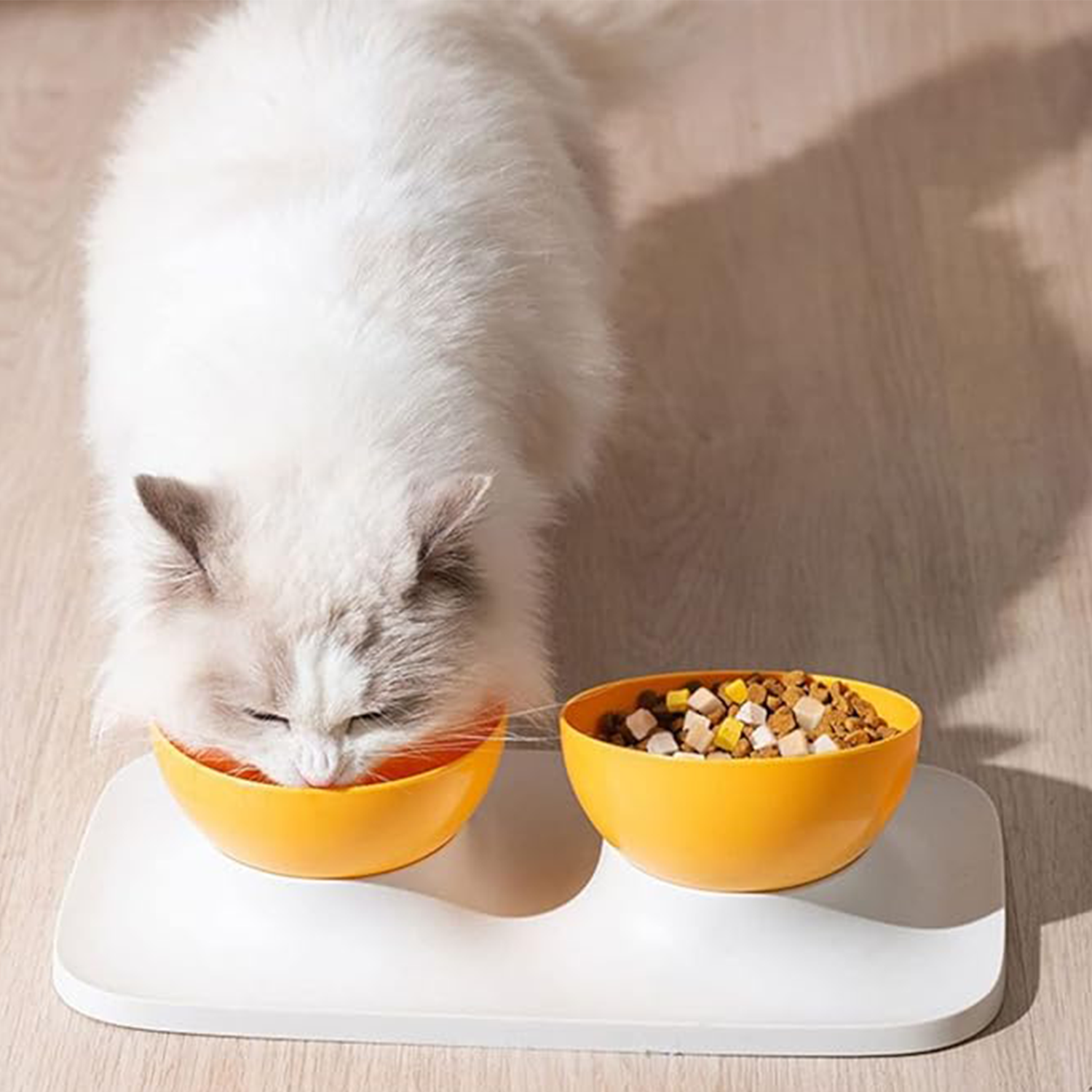 Tilted Cats Bowls Dish Neck Protections Anti-Vomiting