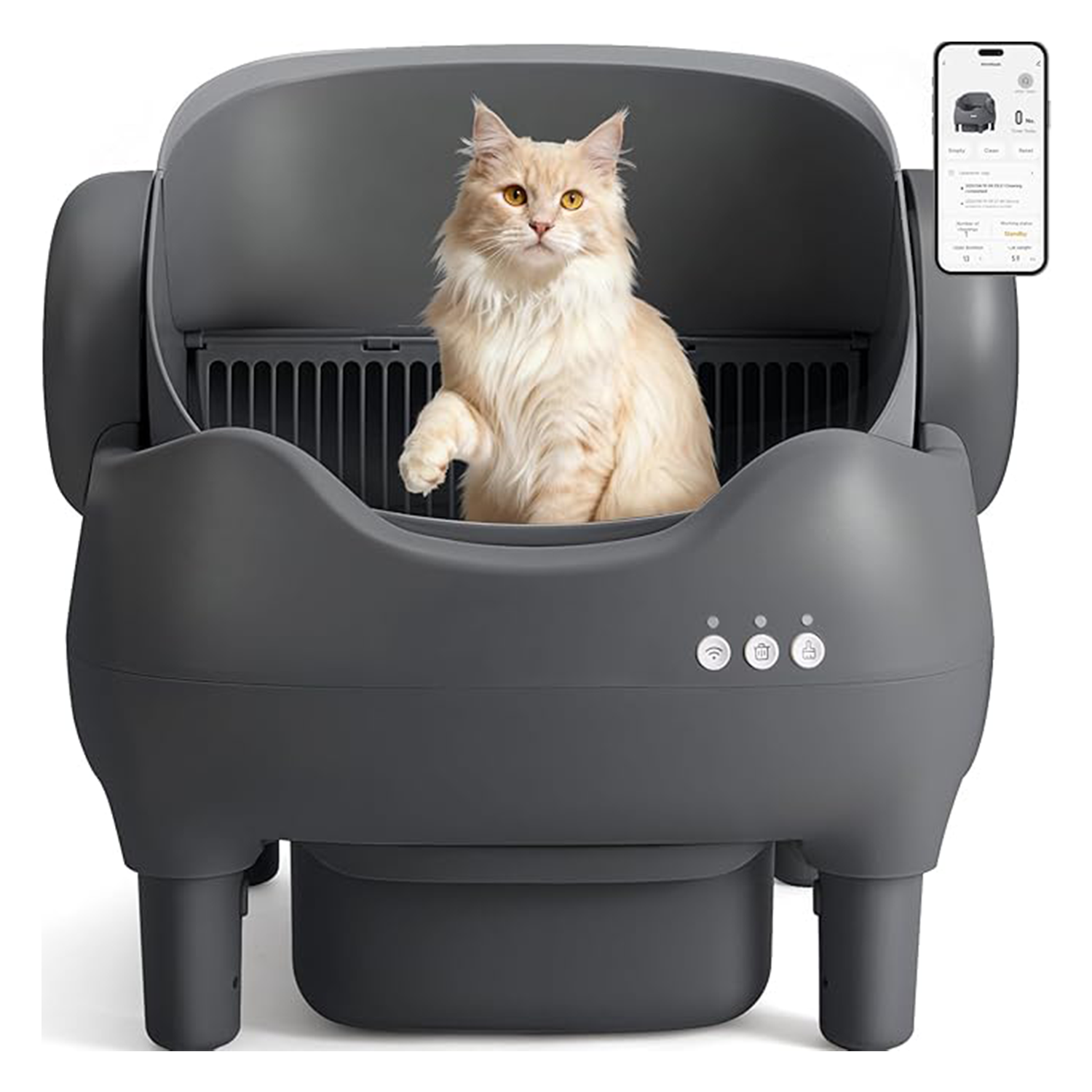 Automatic Litter Box Open Top: Self Cleaning Cat Litter Box