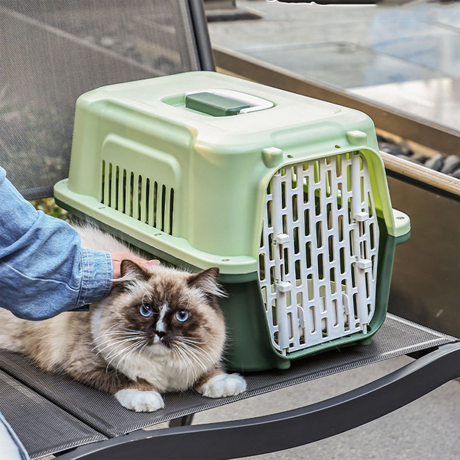 ODM Shockproof Waterproof Hard-Shell Plastic Pet Carrier Cage for Outdoor Adventures